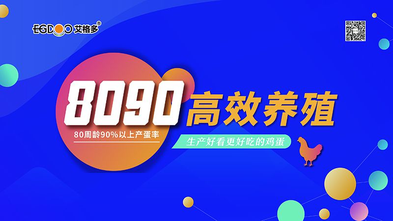 四會(huì)連開，艾格多8090高 效養(yǎng)殖700天唐山區(qū)域線下交流會(huì)成功舉辦