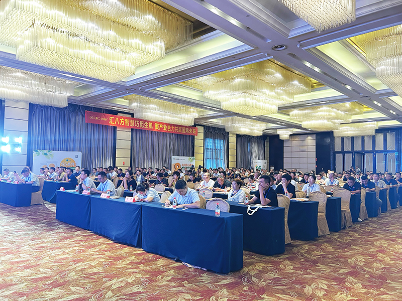 800會(huì)場(chǎng)1